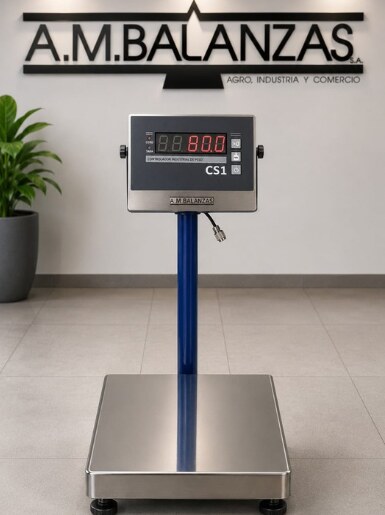 Balanza Industrial CS1